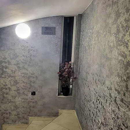 Vida Family -top Location فيدين