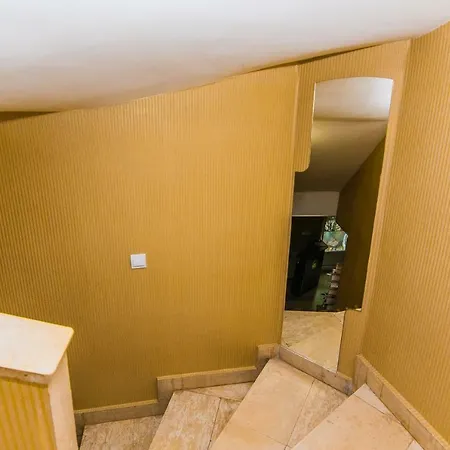Vida Family -top Location Vidin